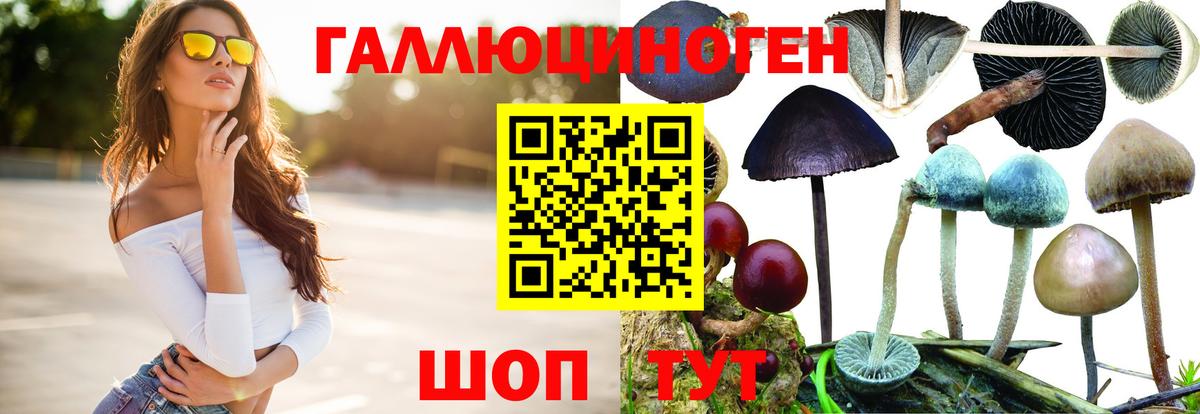Галлюциногенные грибы Psilocybe  Вход с VPN  Псилоцибиновые грибы Psilocybine cubensis  сколько стоит  Апатиты 